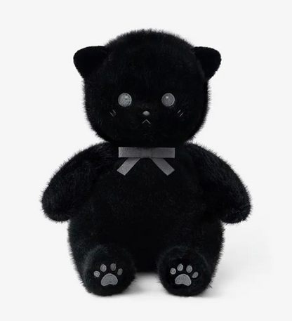 Little cat